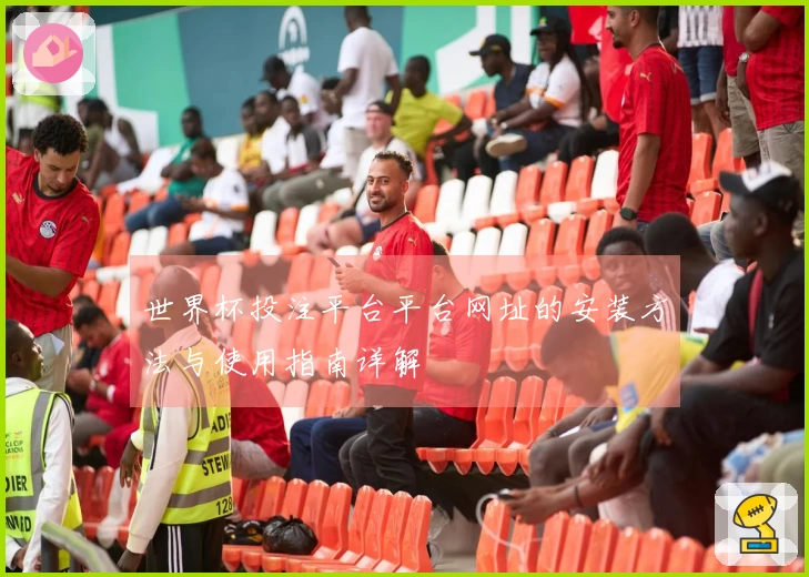 世界杯投注平台平台网址的安装方法与使用指南详解