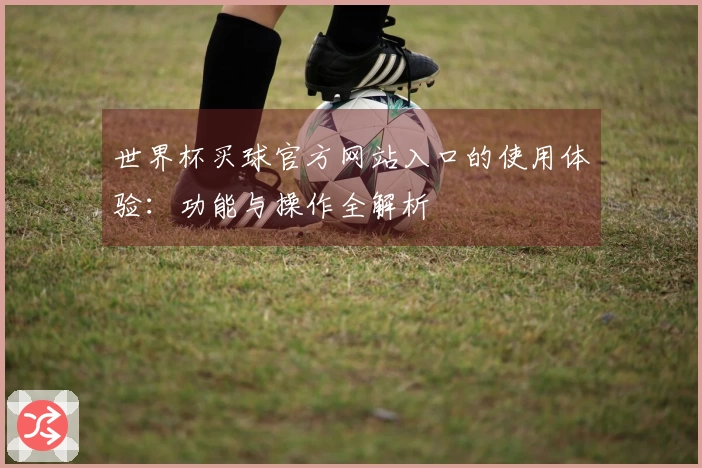世界杯买球官方网站入口的使用体验：功能与操作全解析