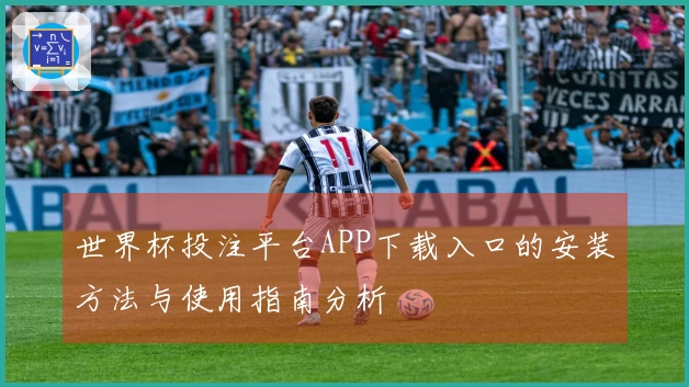 世界杯投注平台APP下载入口的安装方法与使用指南分析