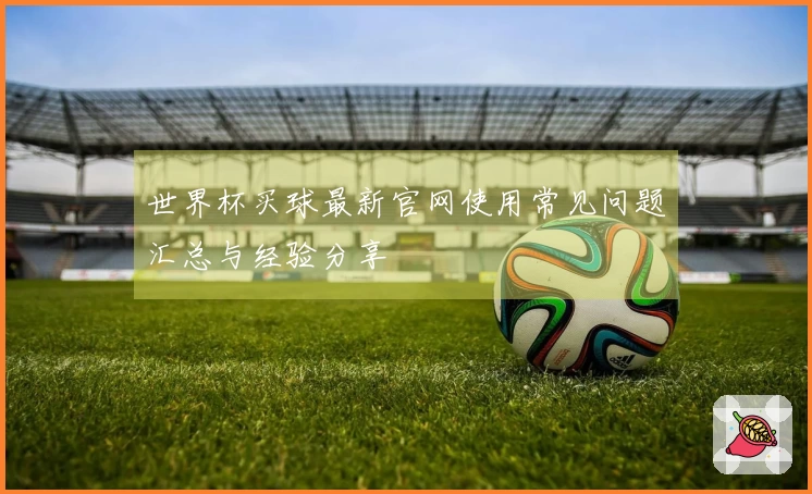 世界杯买球最新官网使用常见问题汇总与经验分享