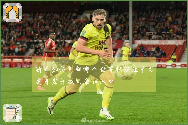 新手如何判断哪个世界杯投注平台更可靠并找到最佳入口