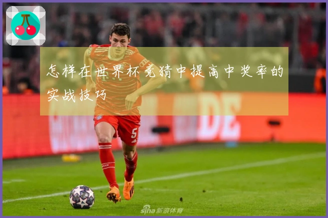 怎样在世界杯竞猜中提高中奖率的实战技巧