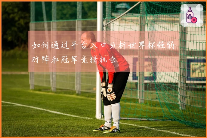 如何通过平台入口分析世界杯强弱对阵和冠军竞猜机会