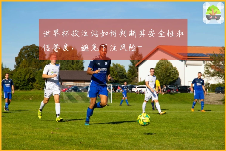 世界杯投注站如何判断其安全性和信誉度，避免下注风险-